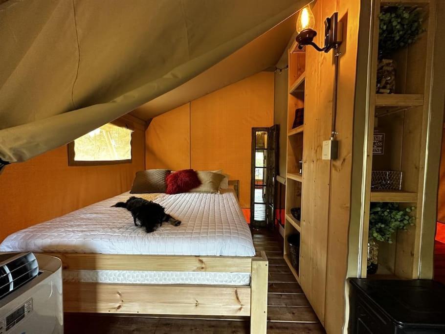 12 Fires Luxury Glamping With Heating #5 Hotel Джонсън Сити Екстериор снимка